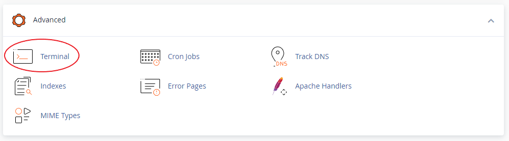 cPanel Terminal